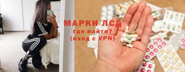 ECSTASY Новозыбков
