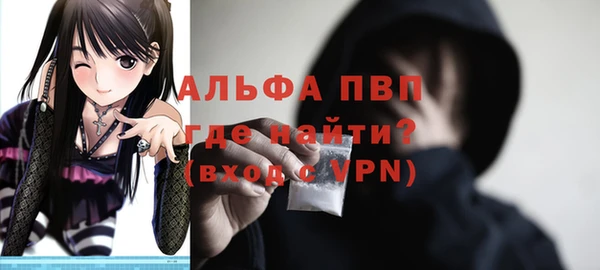 ECSTASY Новозыбков