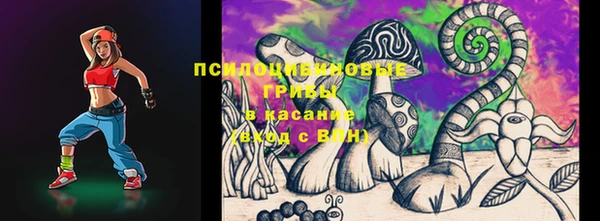 ECSTASY Новозыбков