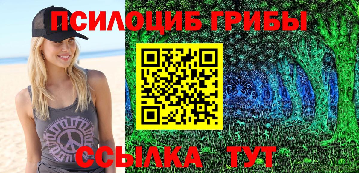 Баксан  закладка  Галлюциногенные грибы мухоморы  Вход с VPN  Галлюциногенные грибы GOLDEN TEACHER 